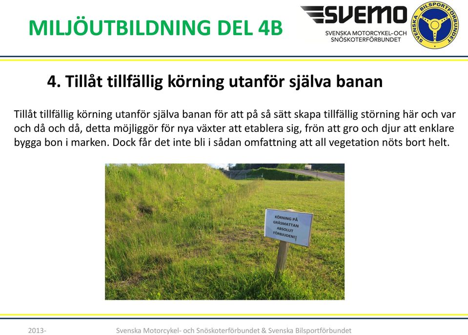 detta möjliggör för nya växter att etablera sig, frön att gro och djur att enklare