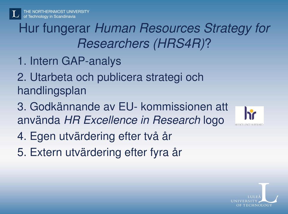 Utarbeta och publicera strategi och handlingsplan 3.