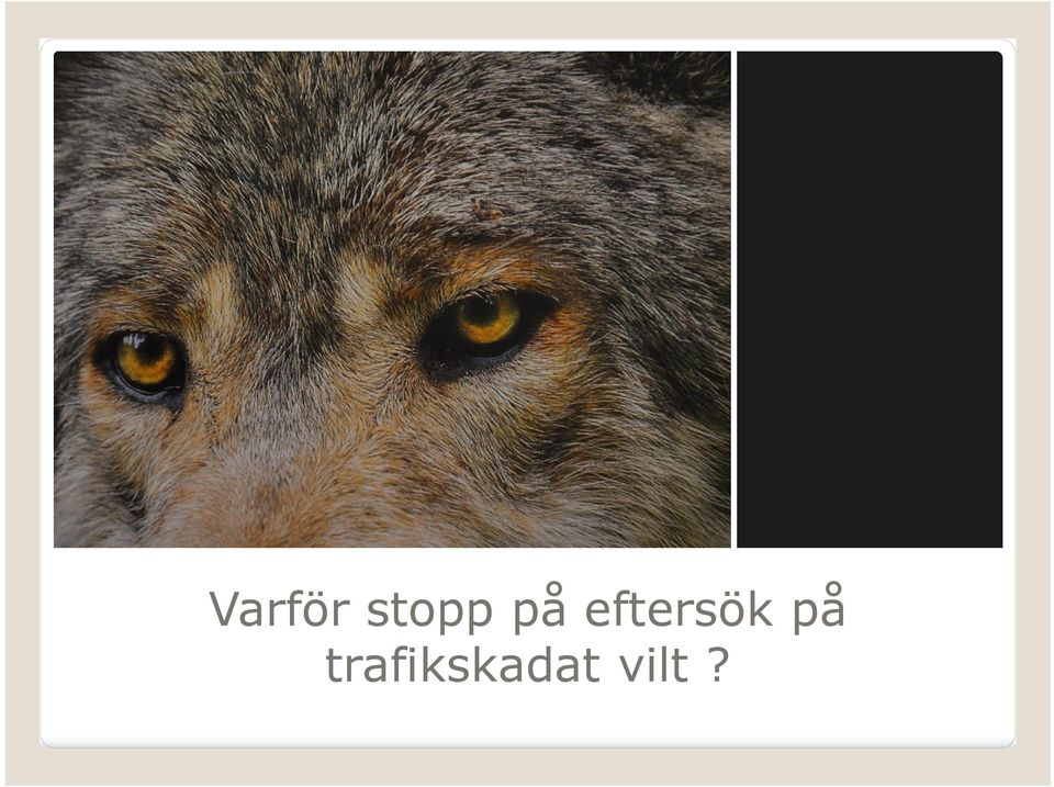 eftersök på