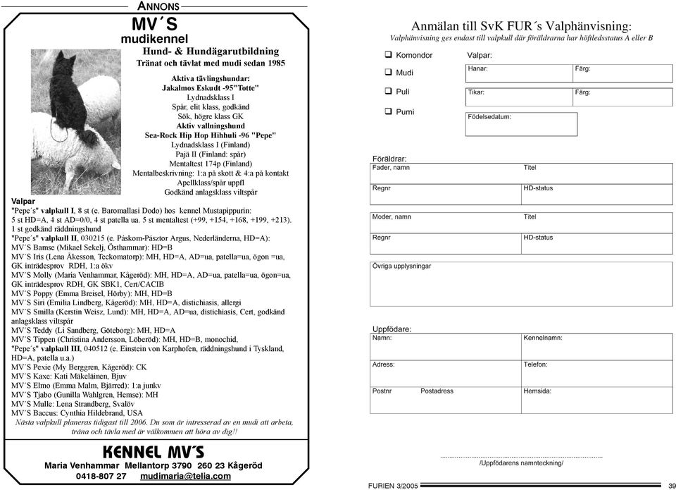 uppfl Godkänd anlagsklass viltspår Valpar "Pepe s" valpkull I, 8 st (e. Baromallasi Dodo) hos kennel Mustapippurin: 5 st HD=A, 4 st AD=0/0, 4 st patella ua.