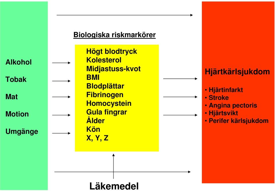 Homocystein Gula fingrar Ålder Kön X, Y, Z Hjärtkärlsjukdom