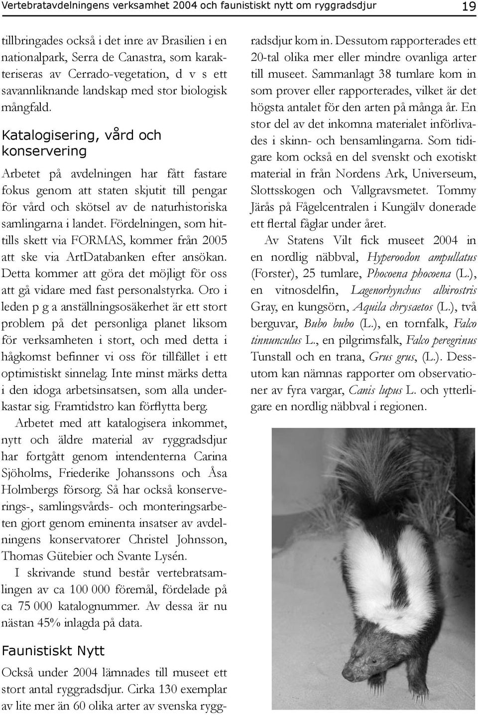 Katalogisering, vård och konservering Arbetet på avdelningen har fått fastare fokus genom att staten skjutit till pengar för vård och skötsel av de naturhistoriska samlingarna i landet.