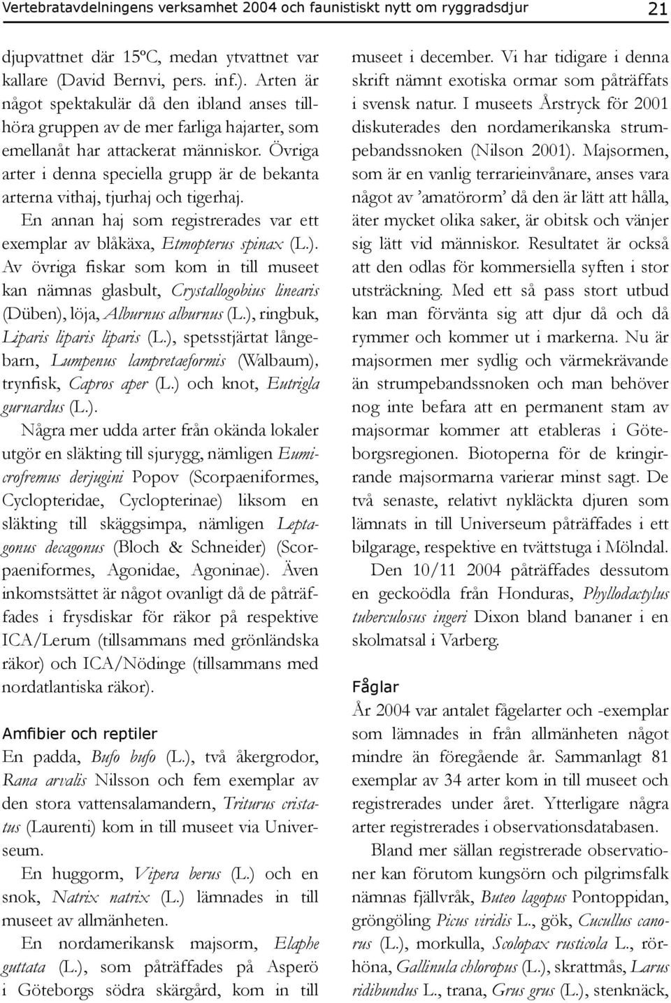 Övriga arter i denna speciella grupp är de bekanta arterna vithaj, tjurhaj och tigerhaj. En annan haj som registrerades var ett exemplar av blåkäxa, Etmopterus spinax (L.).
