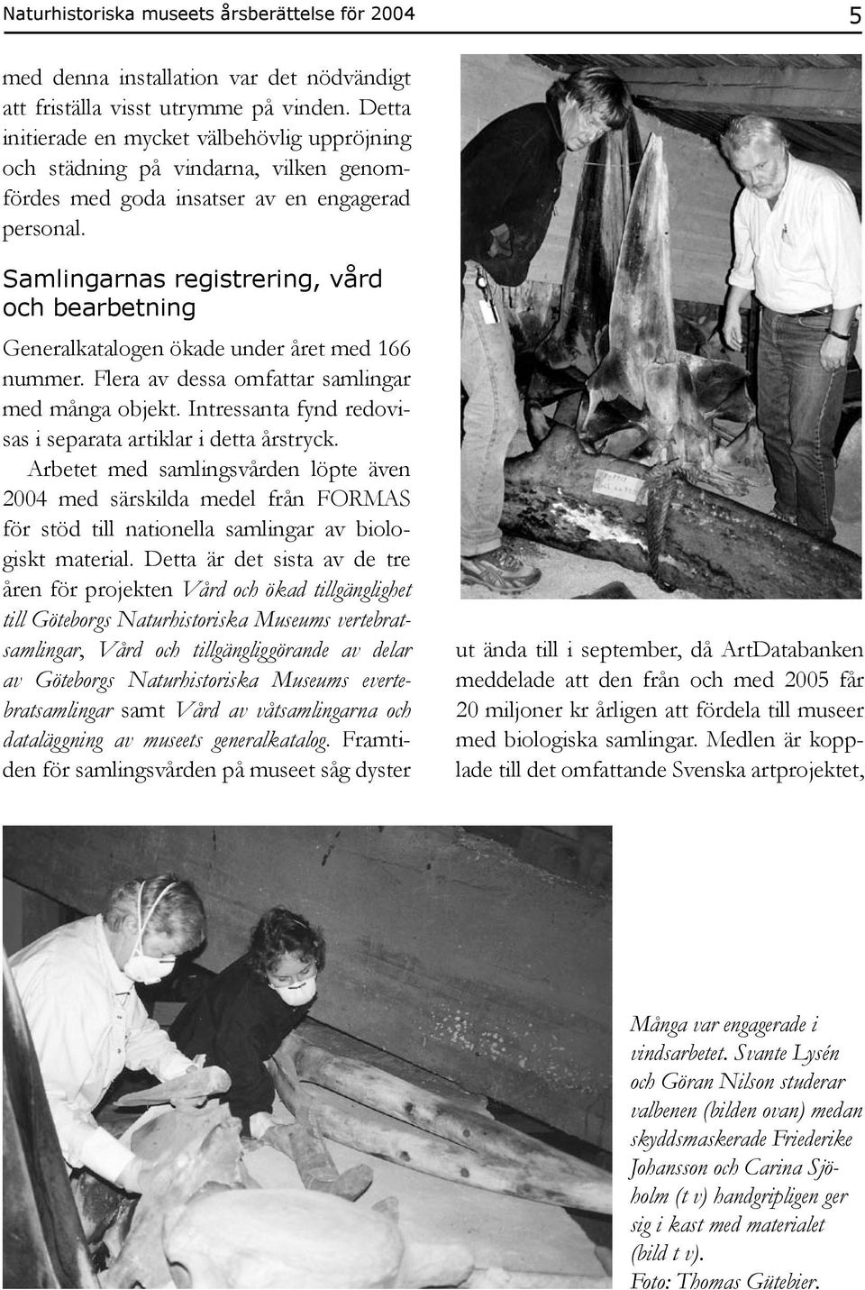 Samlingarnas registrering, vård och bearbetning Generalkatalogen ökade under året med 166 nummer. Flera av dessa omfattar samlingar med många objekt.
