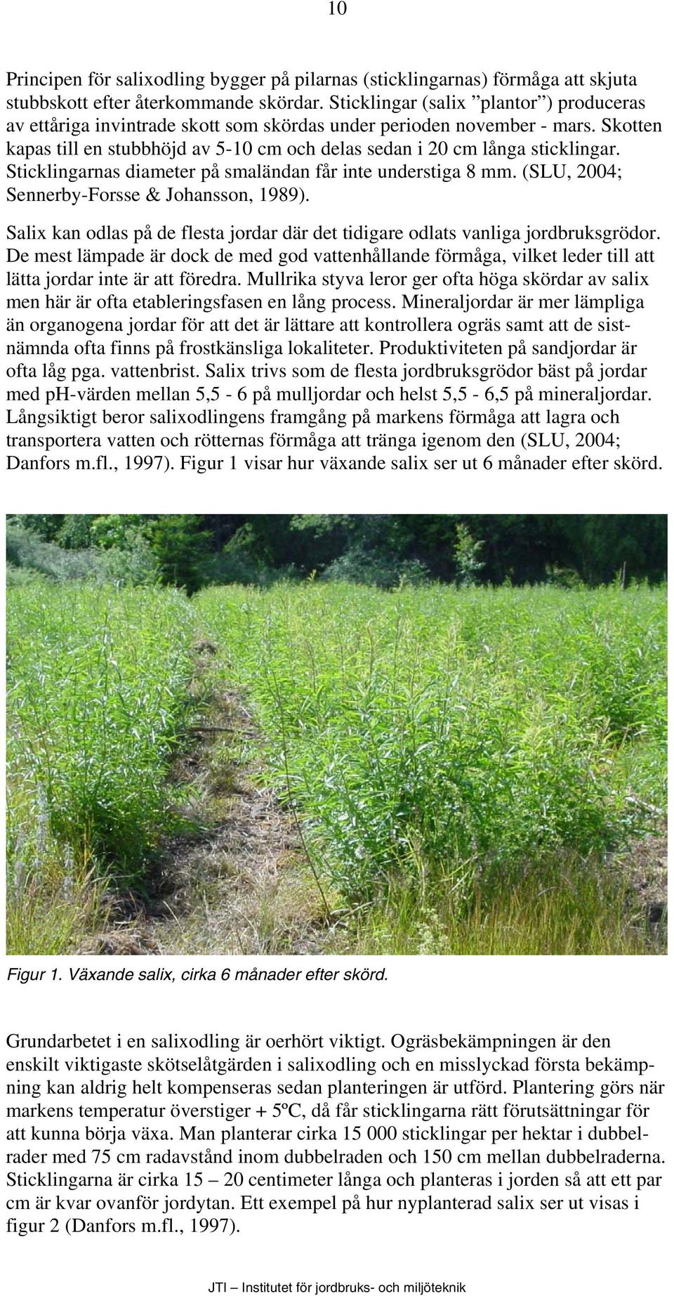 Sticklingarnas diameter på smaländan får inte understiga 8 mm. (SLU, 2004; Sennerby-Forsse & Johansson, 1989). Salix kan odlas på de flesta jordar där det tidigare odlats vanliga jordbruksgrödor.