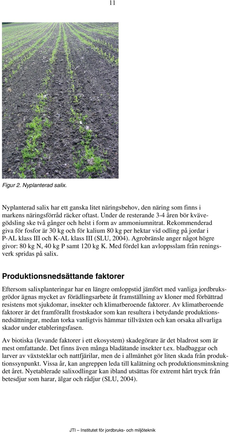 Rekommenderad giva för fosfor är 30 kg och för kalium 80 kg per hektar vid odling på jordar i P-AL klass III och K-AL klass III (SLU, 2004).