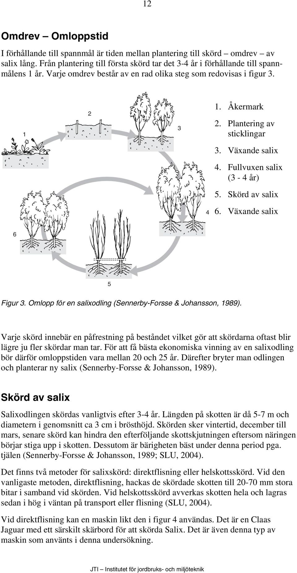 Växande salix 6 5 Figur 3. Omlopp för en salixodling (Sennerby-Forsse & Johansson, 1989).
