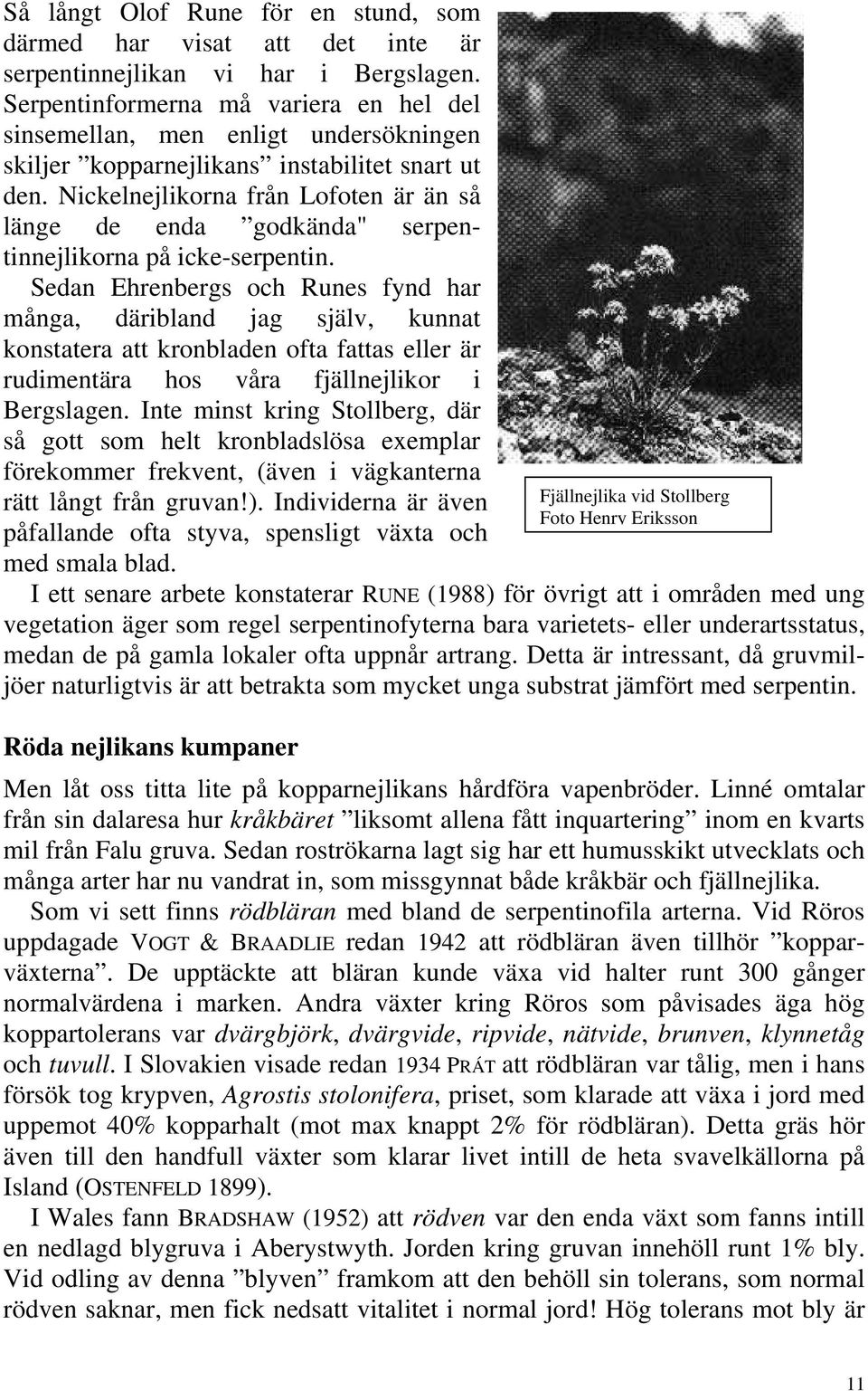 Nickelnejlikorna från Lofoten är än så länge de enda godkända" serpentinnejlikorna på icke-serpentin.