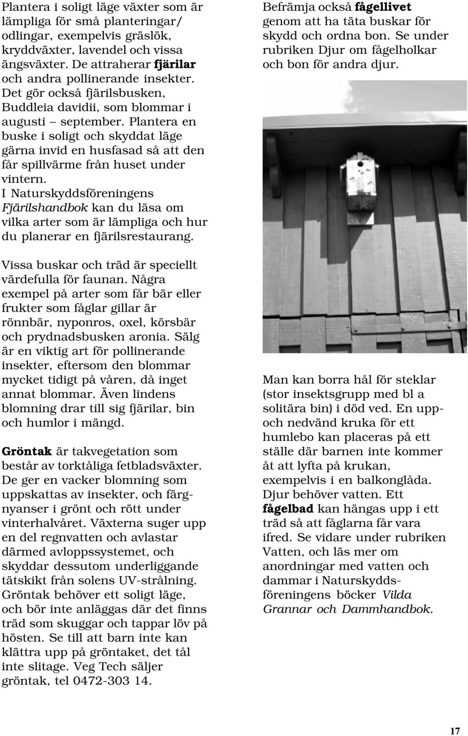 I Naturskyddsföreningens Fjärilshandbok kan du läsa om vilka arter som är lämpliga och hur du planerar en fjärilsrestaurang. Vissa buskar och träd är speciellt värdefulla för faunan.
