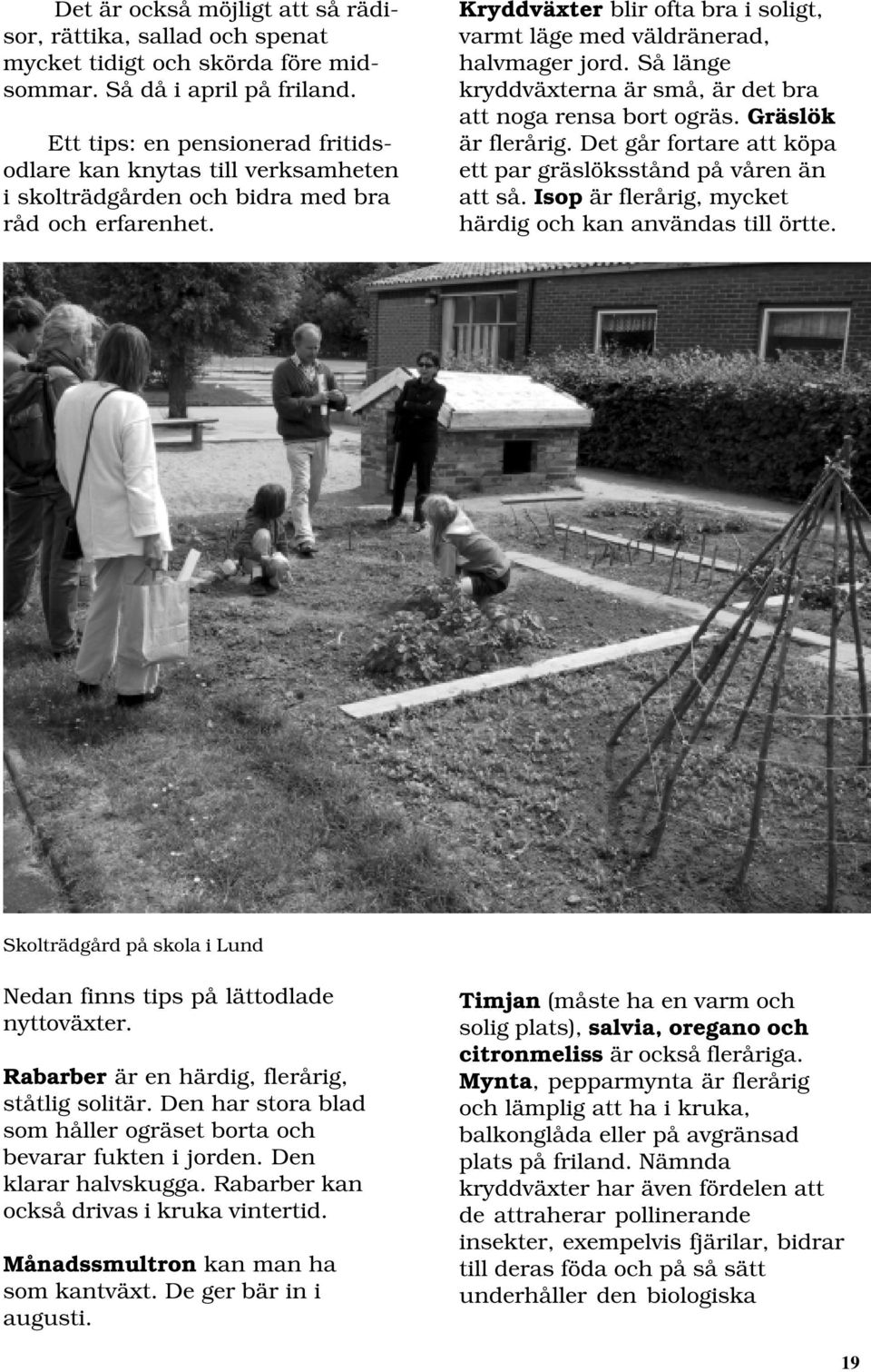 Kryddväxter blir ofta bra i soligt, varmt läge med väldränerad, halvmager jord. Så länge kryddväxterna är små, är det bra att noga rensa bort ogräs. Gräslök är flerårig.
