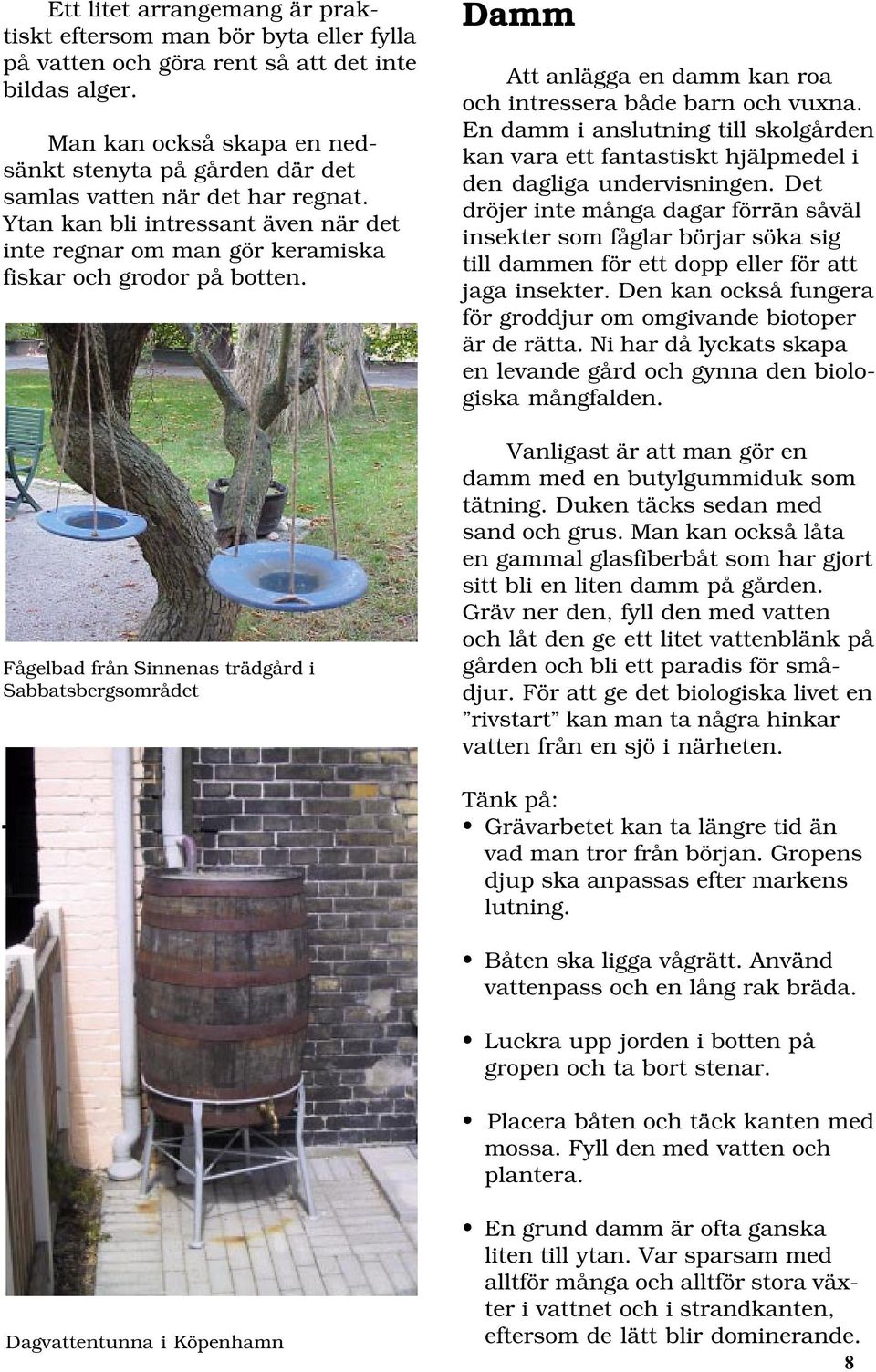 Fågelbad från Sinnenas trädgård i Sabbatsbergsområdet Damm Att anlägga en damm kan roa och intressera både barn och vuxna.
