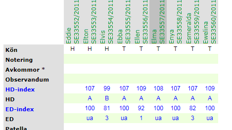 Index för HD och ED i Avelsdata Hur kommer det sig att kullsyskon