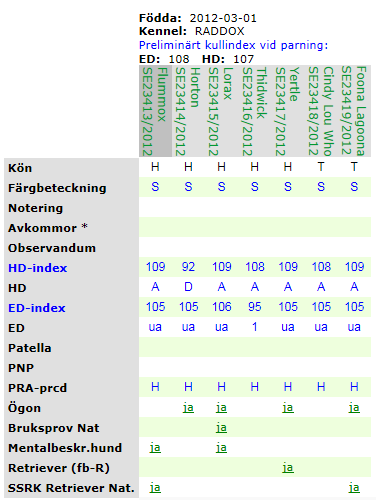 Hundar: Kull/helsyskon och för kullar och avkommor Preliminärt