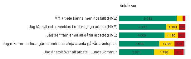 Motivation Högst: Mitt arbete känns meningsfullt (4,3)