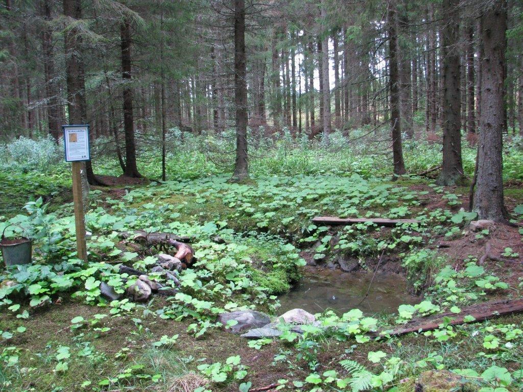 Strömsbergs bruk kan ännu mer Den utgrävda Kyrkmyrskällan med upprensad närmiljö.