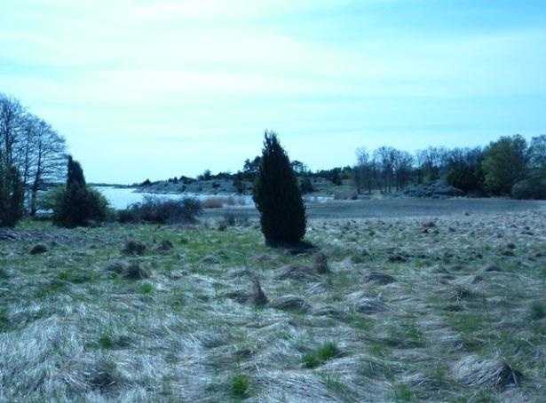 20 (30) varit åkermark, som var uppodlad före genomförandet av laga skifte. Marken är fortfarande öppen men utgörs numera av gräshed, använd som betesmark.