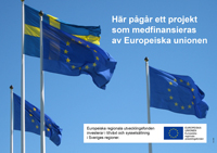 Affisch i A3-format Ni som tagit emot stöd ur Europeiska regionala utvecklingsfonden ska sätta upp minst en affisch med information om projektet på en plats som är synlig för allmänheten, exempelvis