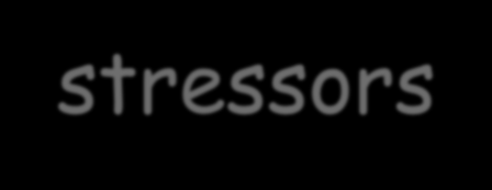 A psychological syndrome in response to chronic interpersonal stressors on the job.