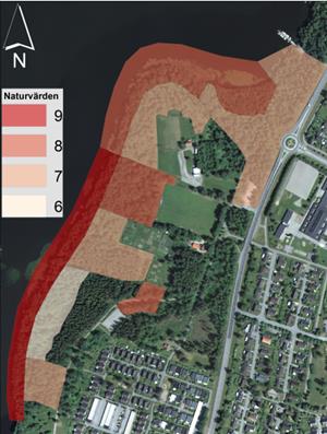 har i planen bibehållits som gröna. Bebyggelsekvarter är istället placerade på, ur naturhänseende, lägre värderad mark.