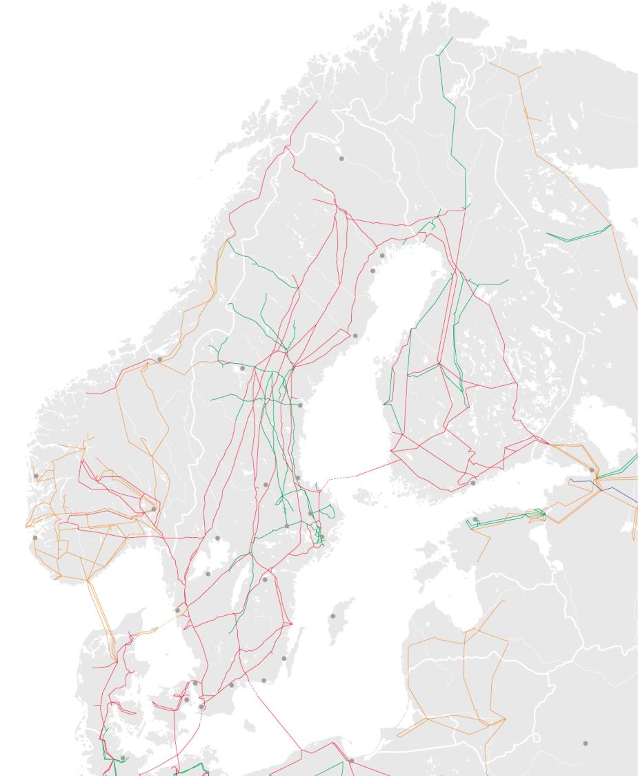 Vad gör en RSCI?