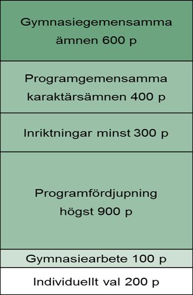 PROGRAMSTRUKTUR