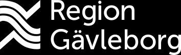 Hearing gällande HR-personalsystem för hela Region Gävleborg Inledning En upphandling kan föregås av en så kallad Hearing.