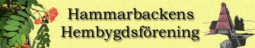 Karlsson Styrelseledamot Anita Gryth Styrelseledamot Stig Grund Styrelseledamot Anders Luth Styrelsesuppleant Linnéa Ericsson Revisorsuppleant Christer Malmström Styrelsesuppleant Bengt Forsgren
