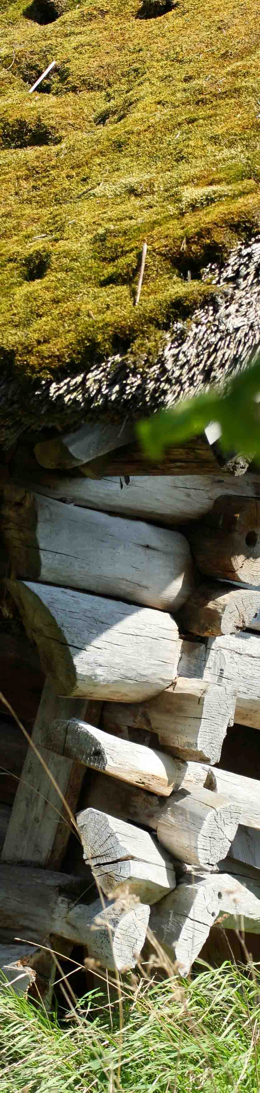 2/6.../ Kräftskiva Roosta, lördag 11 september, 16.00 20.00 Välkomna till SOV s nya, och fr o m nu årliga och traditionella Kräftskiva! I höst börjar SOV ta tag i de svenska traditionerna!