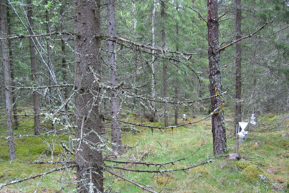 Resultat från Krondroppsnätet t.o.m.