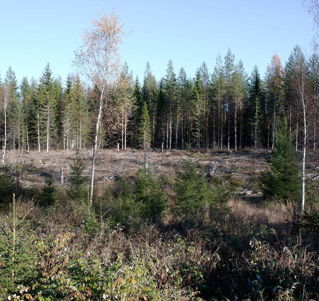 SKOG VID SKYTESVALLEN Del av fastighet bestående av ca 30 ha välarronderad skogsmark.