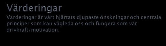 Stressen Tröttheten Ilskan Självhatet Ångesten Rädslan för att misslyckas Värken Sorgen är det som ligger i vägen Arbete Hälsa Fritid