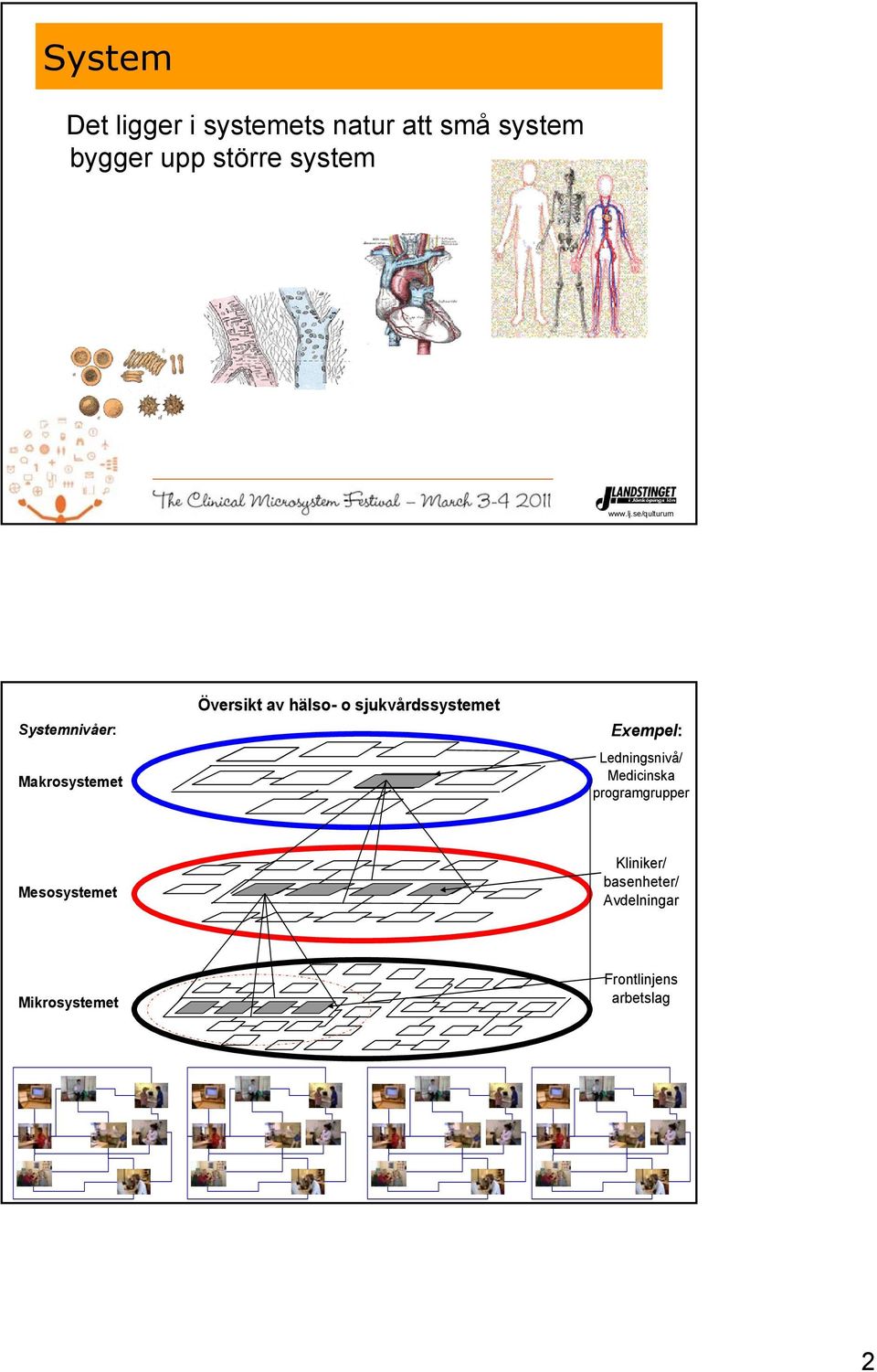 sjukvårdssystemet Exempel: Ledningsnivå/ Medicinska programgrupper