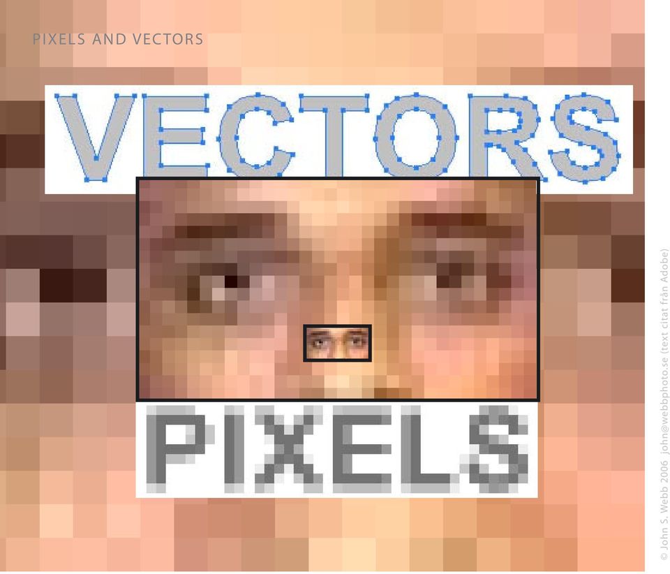 VECTORS