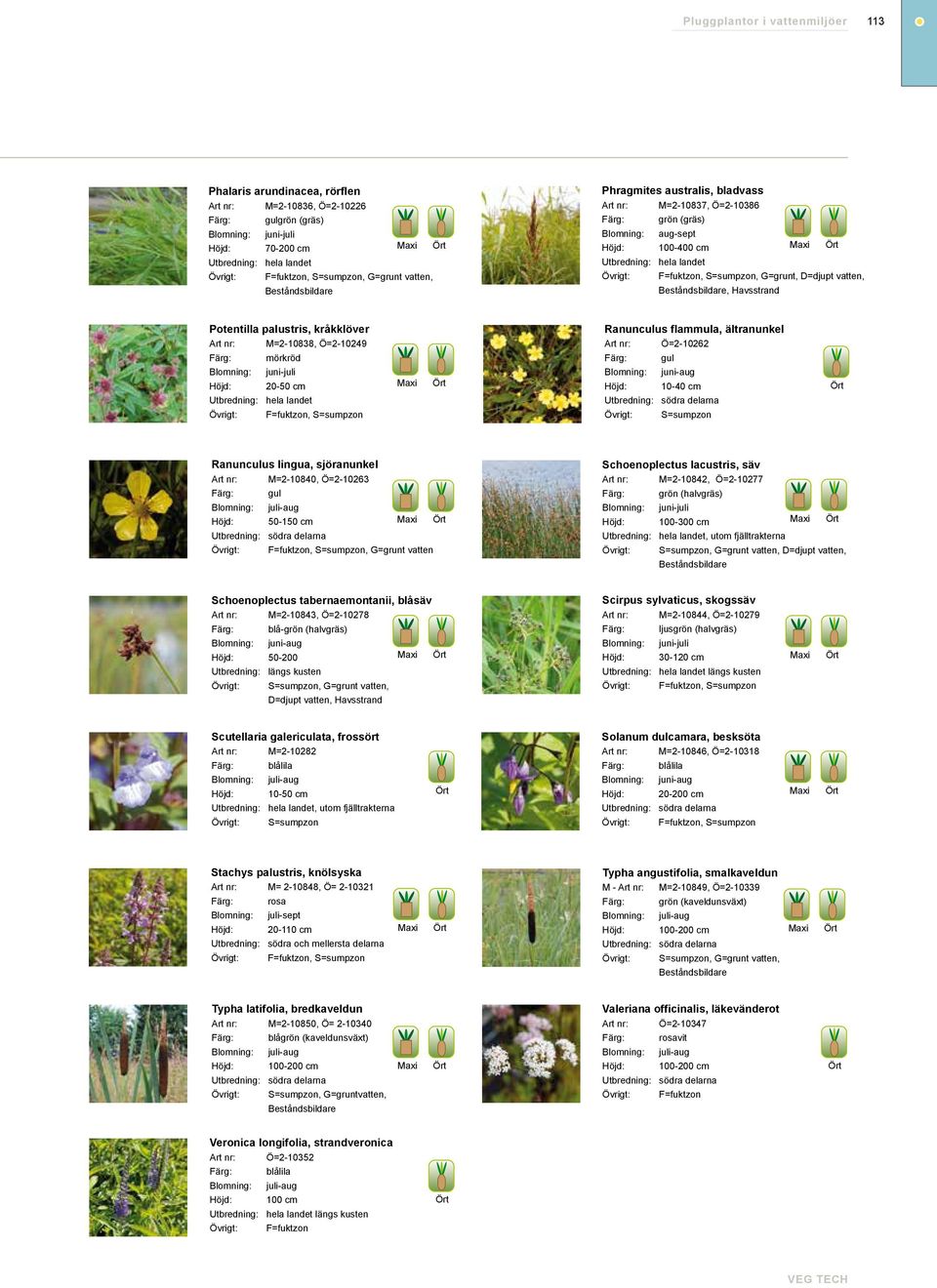 sjöranunkel Schoenoplectus lacustris, säv M=2-10840, Ö=2-10263 gul 50-150 cm, G=grunt vatten M=2-10842, Ö=2-10277 grön (halvgräs) 100-300 cm, utom fjälltrakterna, G=grunt vatten, D=djupt vatten,