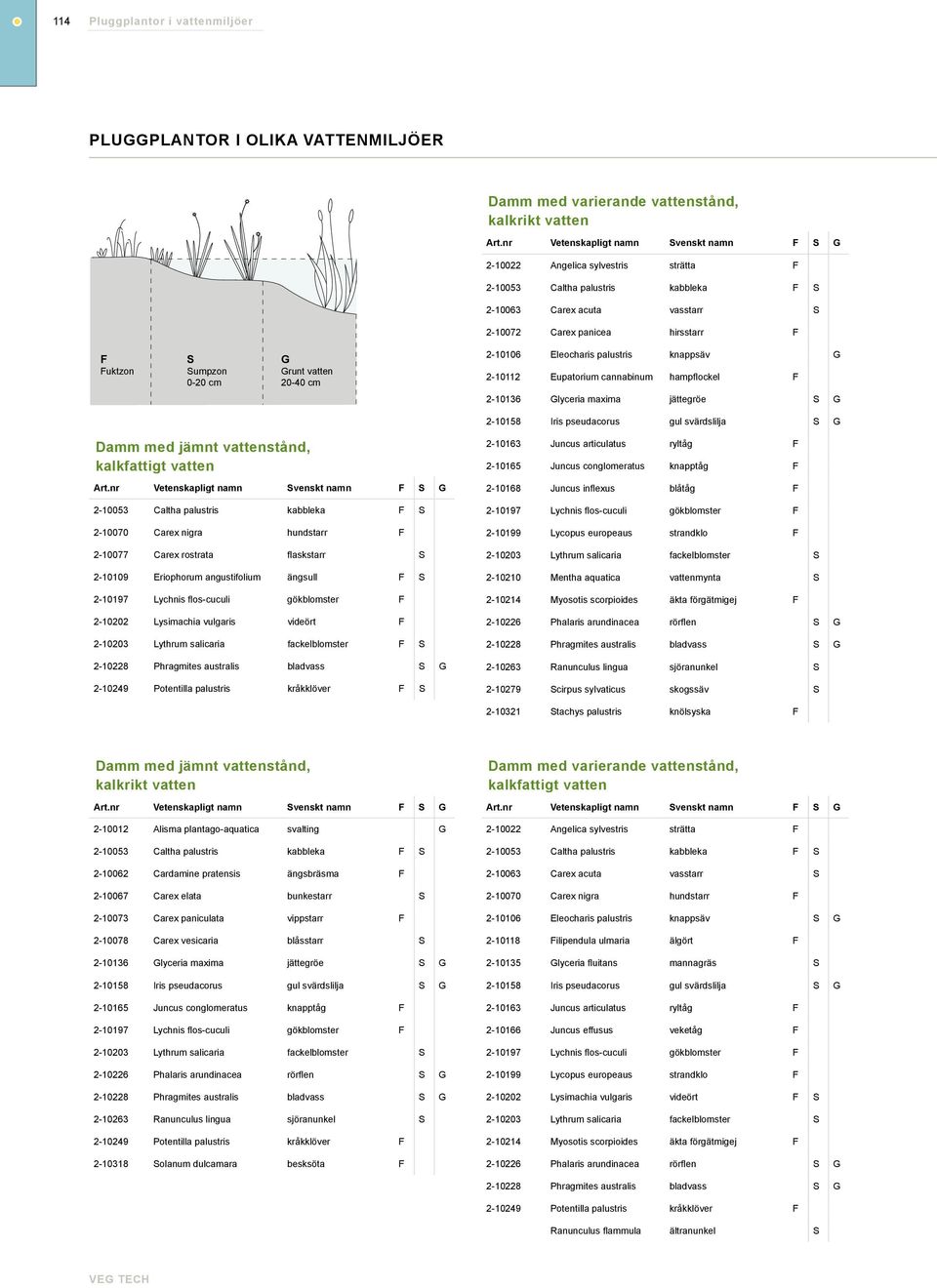 nigra hundstarr F 2-10077 Carex rostrata flaskstarr S 2-10109 Eriophorum angustifolium ängsull F S 2-10202 Lysimachia vulgaris videört F 2-10203 Lythrum salicaria fackelblomster F S 2-10249