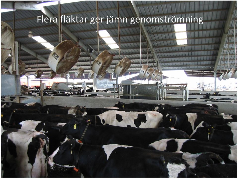ger jämn
