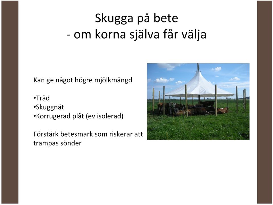 Skuggnät Korrugerad plåt (ev isolerad)