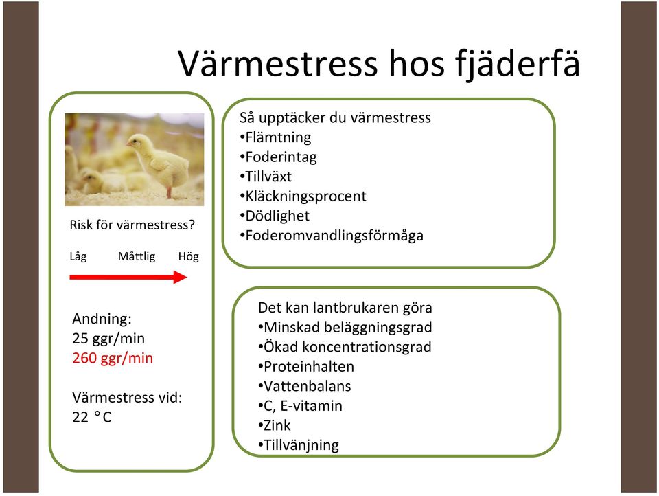 Kläckningsprocent Dödlighet Foderomvandlingsförmåga Andning: 25 ggr/min 260 ggr/min