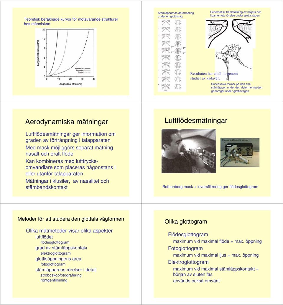 Successiva former på den ena stämläppen under den deformering den genomgår under glottisvågen Aerodynamiska mätningar Luftflödesmätningar ger information om graden av förträngning i talapparaten Med