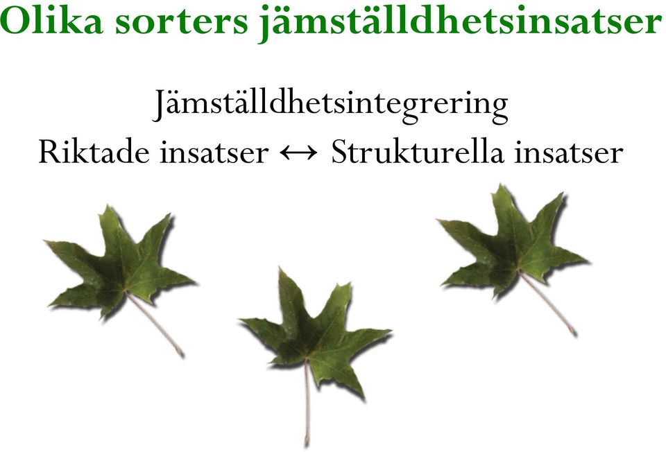 Jämställdhetsintegrering