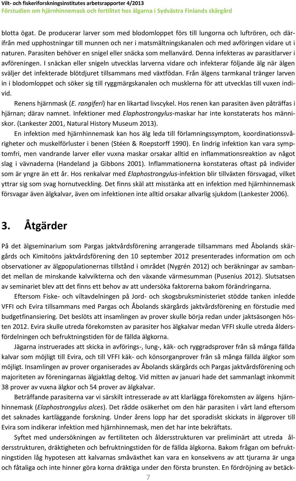Parasiten behöver en snigel eller snäcka som mellanvärd. Denna infekteras av parasitlarver i avföreningen.