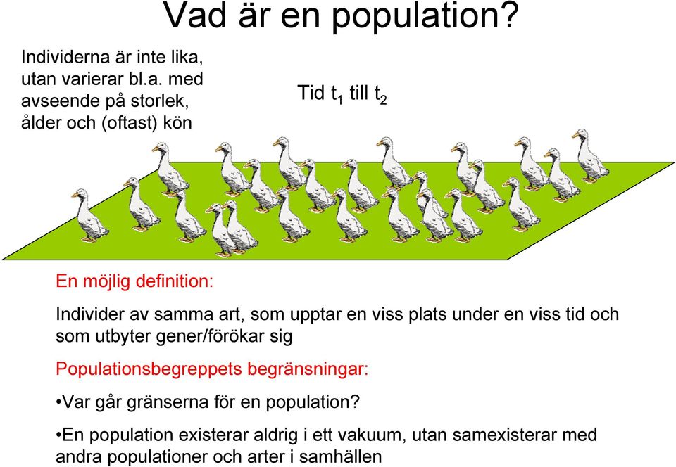 som utbyter gener/förökar sig Populationsbegreppets begränsningar: Var går gränserna för en population?