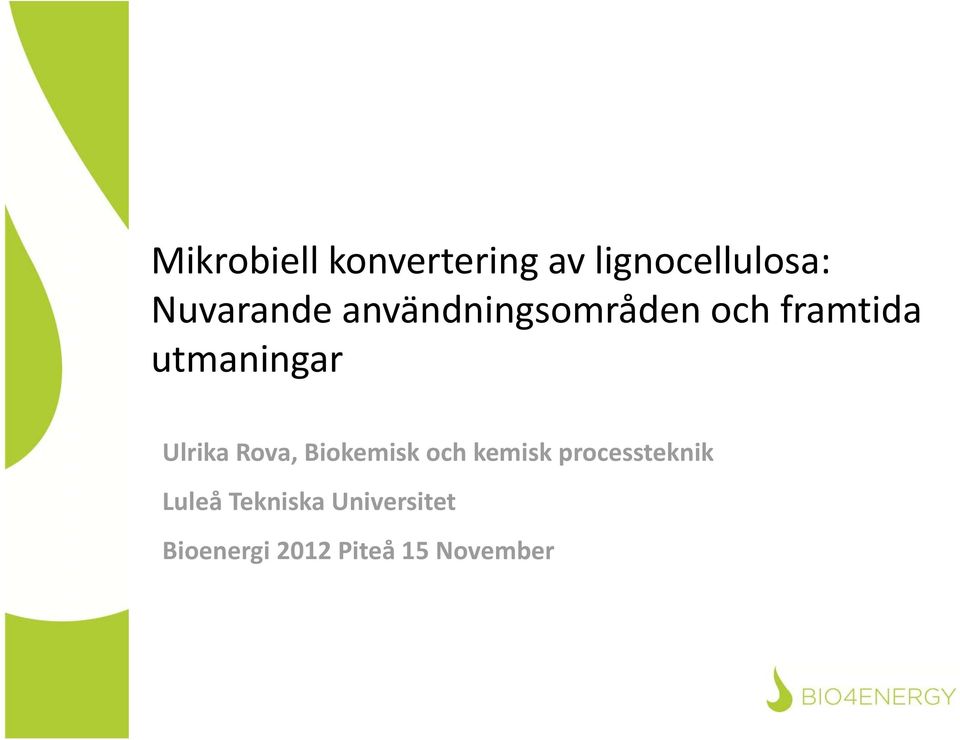 utmaningar Ulrika Rova, Biokemisk och kemisk