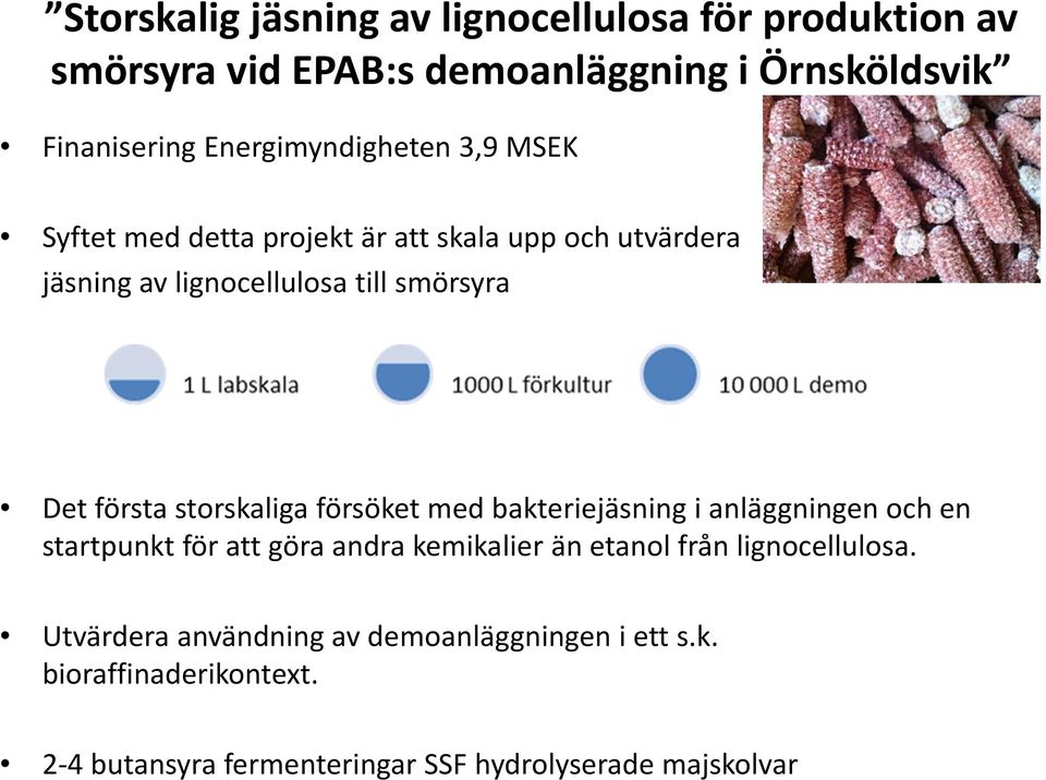 första storskaliga försöket med bakteriejäsning i anläggningen och en startpunkt för att göra andra kemikalier än etanol från