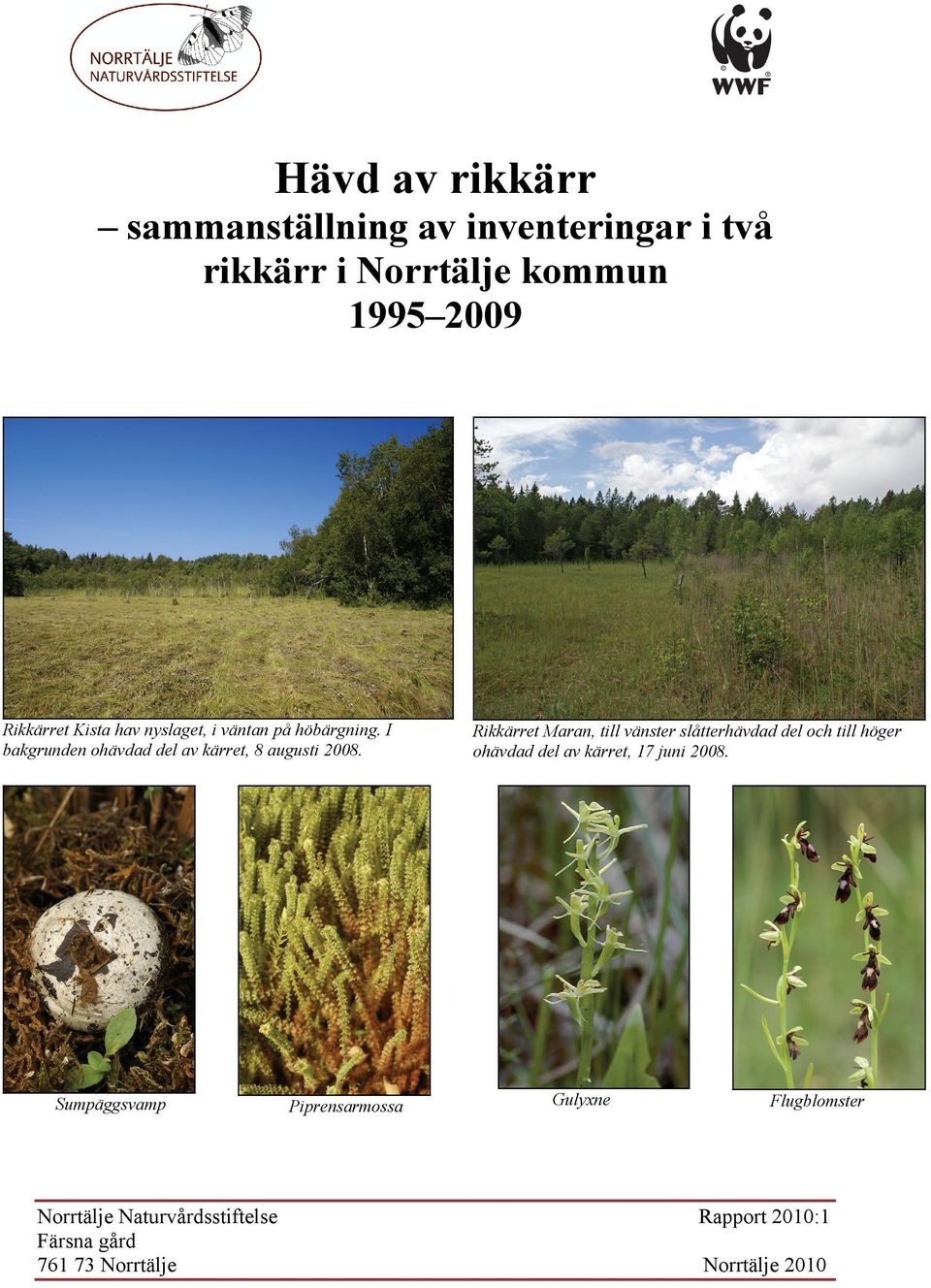 Sumpäggsvamp Norrtälje Naturvårdsstiftelse Färsna gård 761 73 Norrtälje Piprensarmossa Rikkärret Maran,