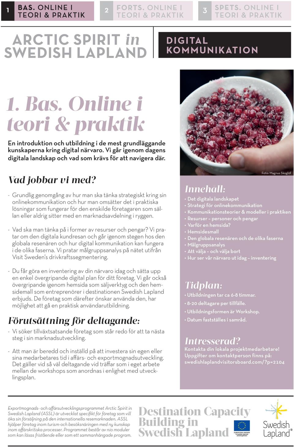 - Grundlig genomgång av hur man ska tänka strategiskt kring sin onlinekommunikation och hur man omsätter det i praktiska lösningar som fungerar för den enskilde företagaren som sällan eller aldrig