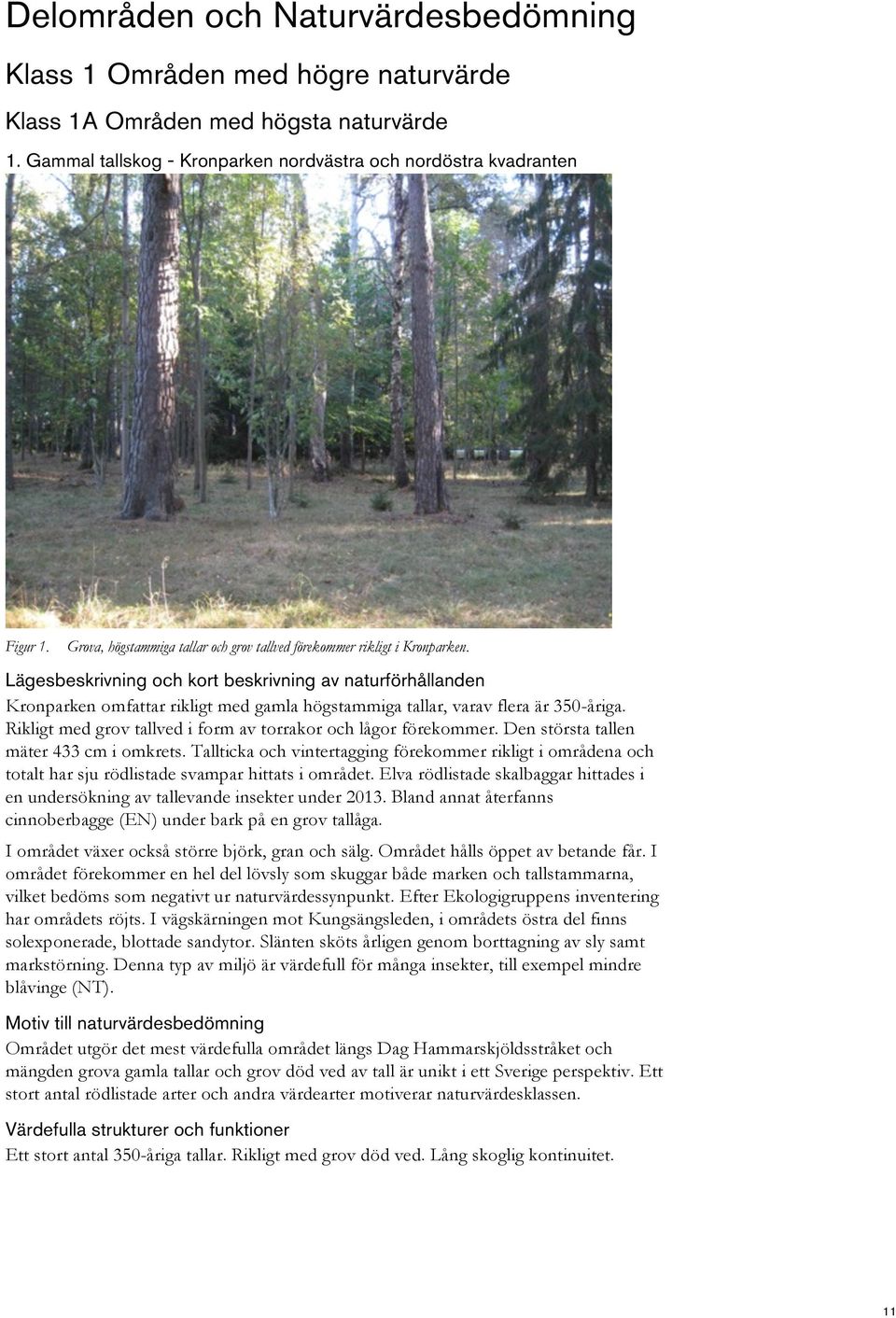 Rikligt med grov tallved i form av torrakor och lågor förekommer. Den största tallen mäter 433 cm i omkrets.