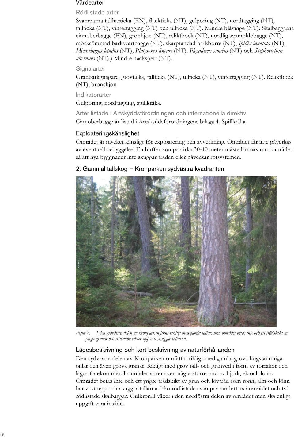 (NT), Platysoma lineare (NT), Plegaderus saucius (NT) och Stephostethus alternans (NT).) Mindre hackspett (NT). Granbarkgnagare, grovticka, tallticka (NT), ullticka (NT), vintertagging (NT).