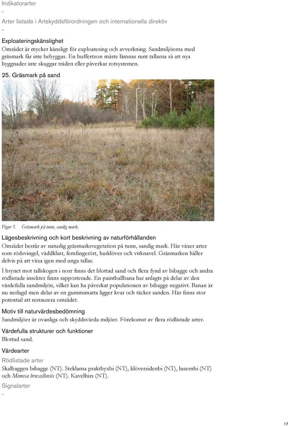 Området består av naturlig gräsmarksvegetation på tunn, sandig mark. Här växer arter som rödsvingel, väddklint, femfingerört, harklöver och vitknavel.