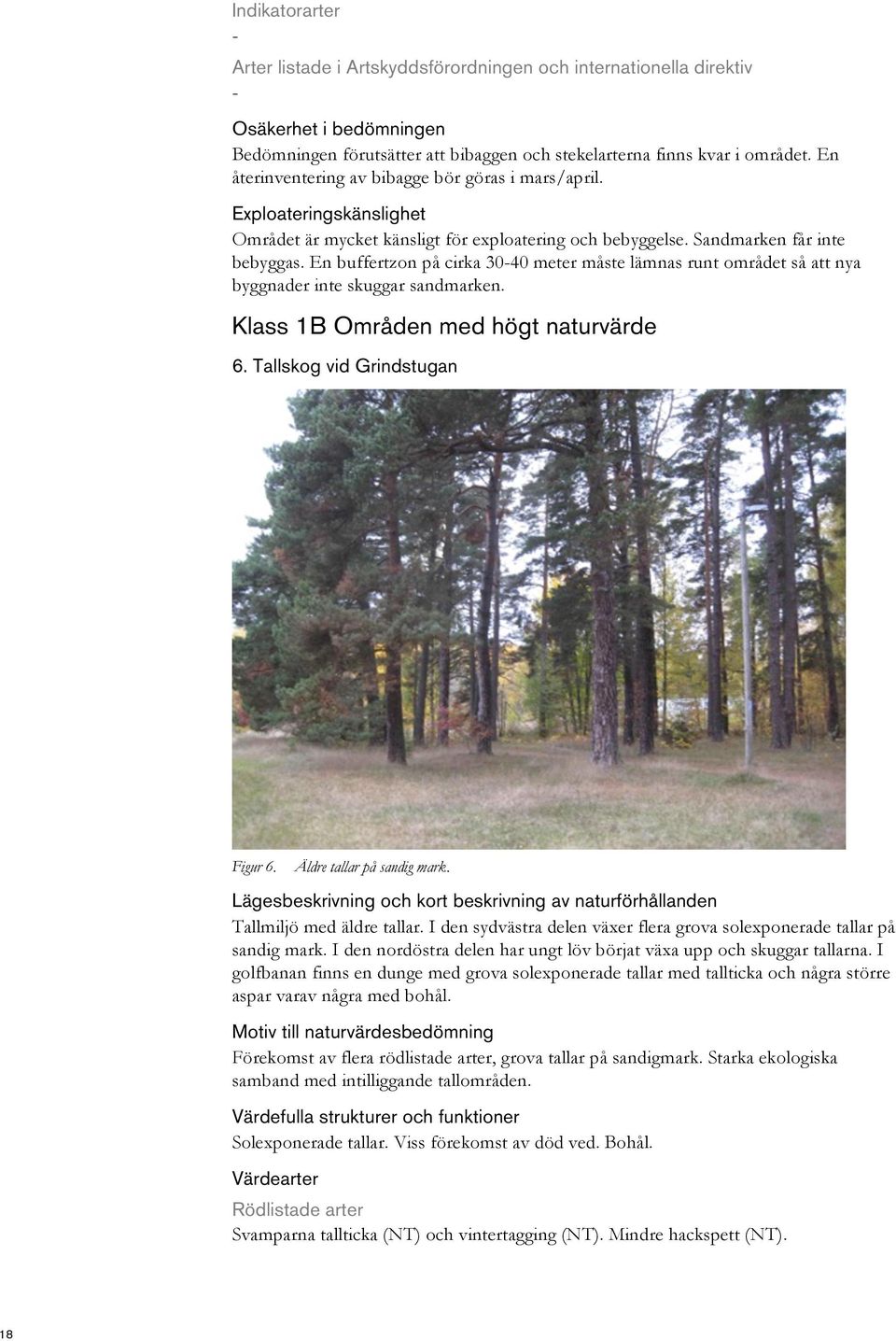 Klass 1B Områden med högt naturvärde 6. Tallskog vid Grindstugan Figur 6. Äldre tallar på sandig mark. Tallmiljö med äldre tallar.
